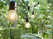 Vente aux enchères en ligne Led binnen en buitenverlichting