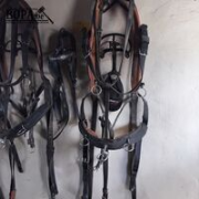 Online veiling Rijtuigen, paarden, rollend materieel en inboedel stukken