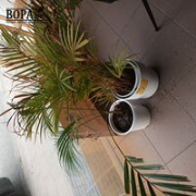 Vente aux enchères en ligne Telefoon repair